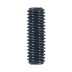 ESPARRAGO ALLEN 913 06X06...